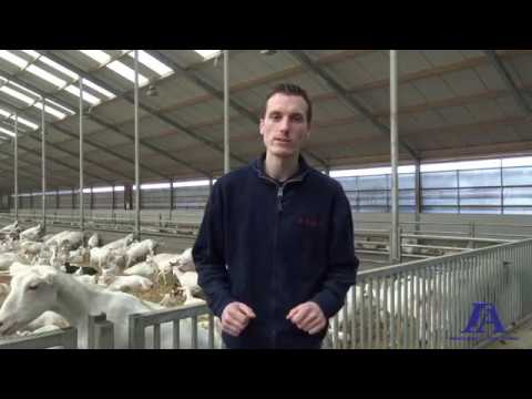 4D4F - Lely Vector: Automatic feeding robot