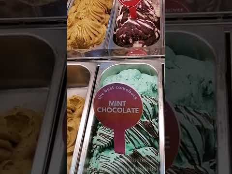 mint chocolate ice cream