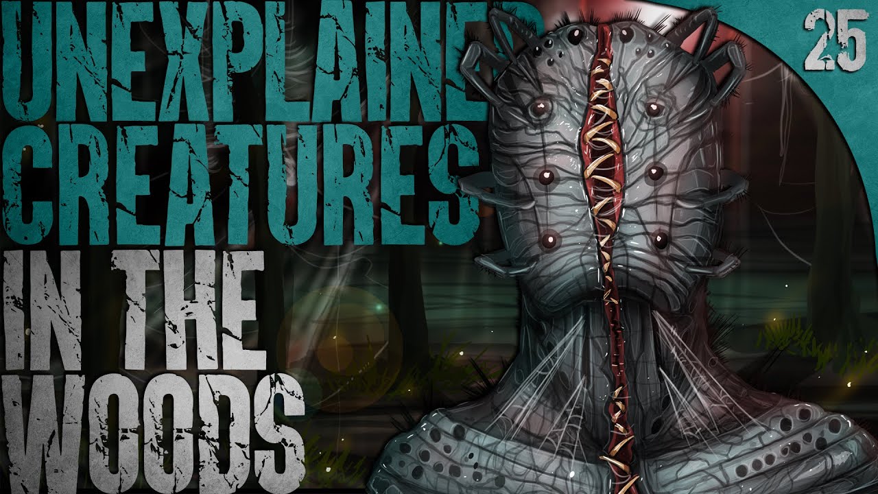 25 UNEXPLAINED & DISTURBING Creatures Seen in the Woods
