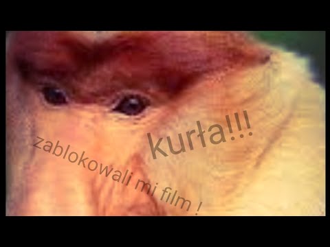 Chamy mi film zablokowali !!!!