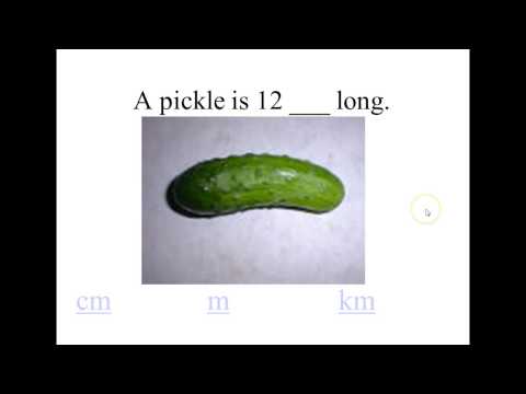 metric system meters