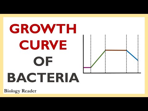 Growth curve of Bacteria - Mathematics, Video and Phases - Biology Reader