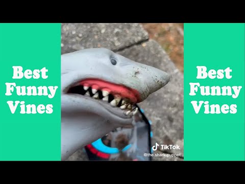 1 Hour Funny Shark Puppet Tik Tok 2023 | Best Shark Puppet Tik Tok