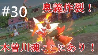 【ポッ拳DX】刮目せよッ！！これが木曽川流最終奥義だッ！！！【バシャーモ#30】
