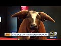 First Look Western Bar Rodeo Ranch Opens On Mill Avenue