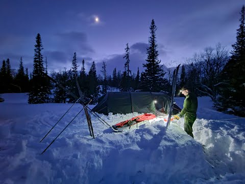 Ripjakt Stensdalen Feb 2023