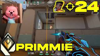 Primmie Phoenix Fracture RADIANT RANKED