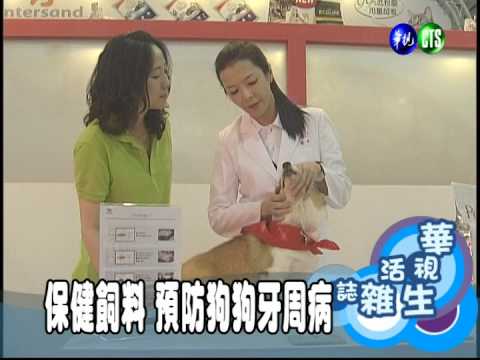 保健飼料 預防狗狗牙周病