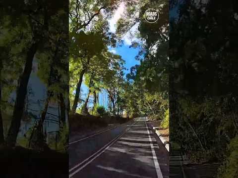 De Púa a Victoria: Paisajes del Sur II 🇨🇱🏔️