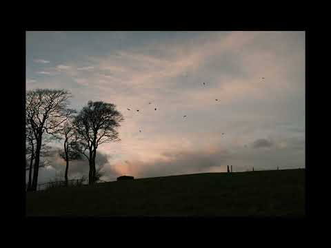 Sylva - Fly Away With You