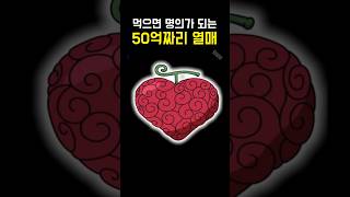 원피스 50억짜리 수술수술 열매