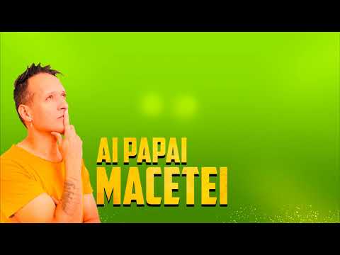 Anitta feat Mc Danny e Hitmaker - AI PAPAI (Cover Rony Max)