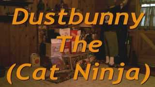 Dustbunny The Grrl Cat Ninja, starring in...