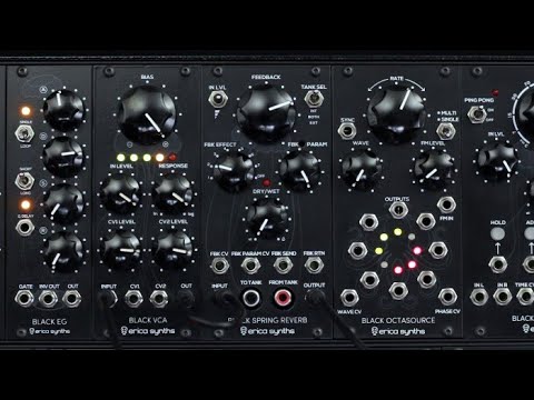 Erica Synths Black Spring Reverb image 2