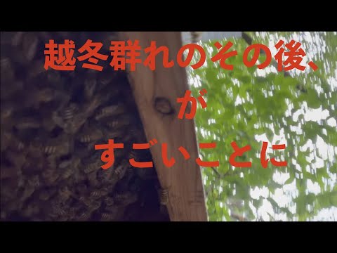 2021 .6.14 越冬群、その後