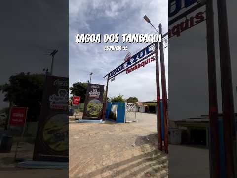 Conheça a Lagoa dos Tambaquis em Estância Sergipe #shorts