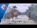 Waarom het bekende Malieveld in Den Haag nooit bebouwd wordt - OMROEP WEST