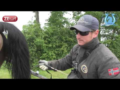 VILLAGE MYSTIC (L.Baudron) au travail à une semaine du Louis Jariel (Gr.II) - A2TURF.COM