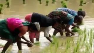 Download lagu Vethathiri maharishi Ulaganala valthu mp3 Download lagu Vethathiri maharishi Ulaganala valthu mp3