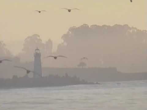 Quiet Remains - Full Movie