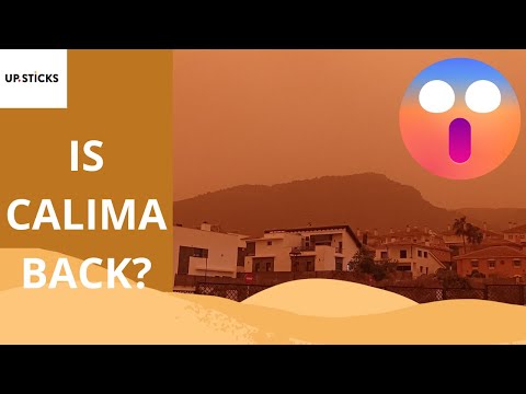 Is Calima back? #andalucia #weather #spain #calima 😢​