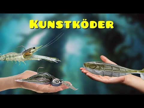 Welcher KUNSTKÖDER fängt am BESTEN?! Part-1 GUMMIFISCH 🎣🐟