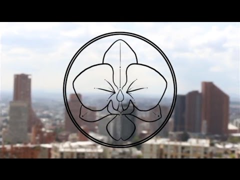 Casa Orquídea Fashion Video (Fashion Killa by Mason feat. Stefflon Don)