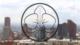 Casa Orquídea Fashion Video (Fashion Killa by Mason feat. Stefflon Don)