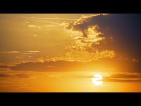 Jochen Distelmeyer - Im Fieber (Official Video)