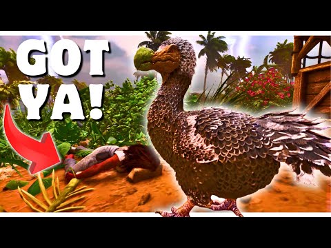 The PERFECT Start On Ark Ragnarok! | Ark Survival Ascended