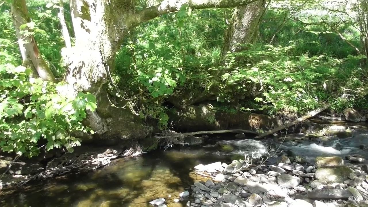 Healing with love, hope and light: Introductory video 1