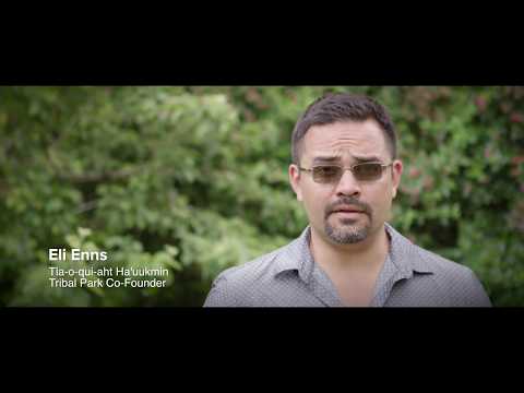 History of the 1993 Clayoquot Sound Logging Protests