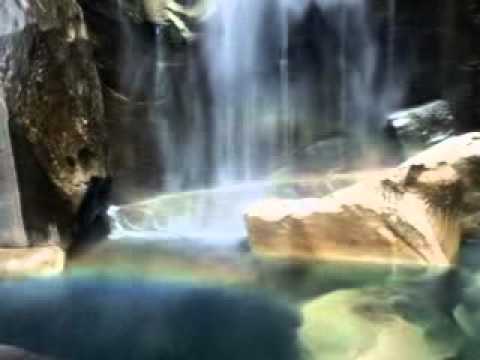 JMarcos  Juliano  SOS Natureza       YouTube   File2HD com