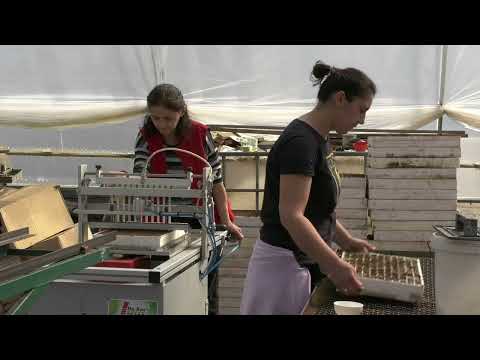 Imamo rešenje 199 27.03.2023. NAJAVA