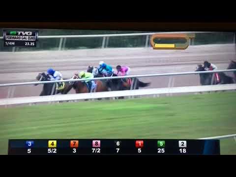 FORWARD GAL (G 3) $200,000 2/3/ 18 - TAKE CHARGE PAULA !!!