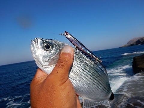 Οδηγίες χρήσης και ψάρεμα με DUO Bay RUF Manic Fish 88