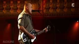 Alcaline, le Mag : Dominique A - Le Courage des Oiseaux en live