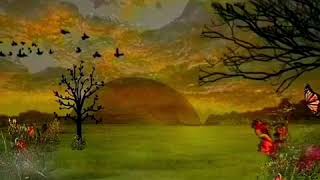 Standing Ovation - VASCO ROSSI. Inedito &quot;11/08/2018&quot; (The Window Fantasy)