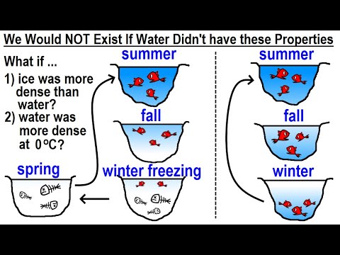 Can You Believe It 27 What is Time