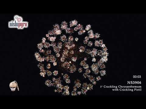 NS3906 - 3" Crackling Chrys. with Crackling Pistil