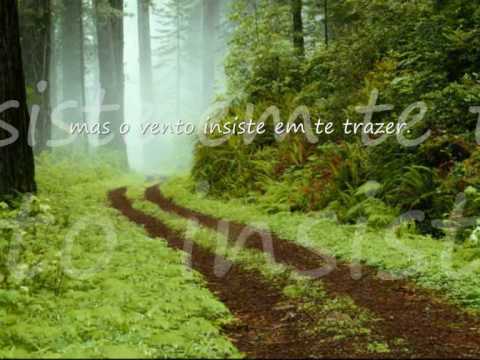 kiko zambianchi - Quadro Vivo