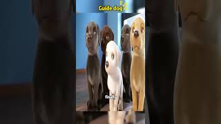 The little dog actually cheated right in front of the examiner #cartoon #usa #foryou #funy