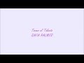 Tienes el talento CANTOR RAFA PALMER 
