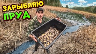 Пруд для ловли рыбы ленинградское