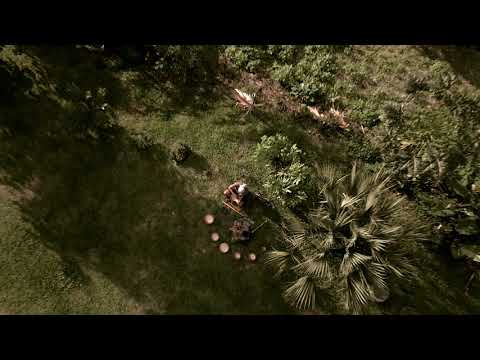 Avamystic - Heliconias || Drone Flute by Arenal Volcano