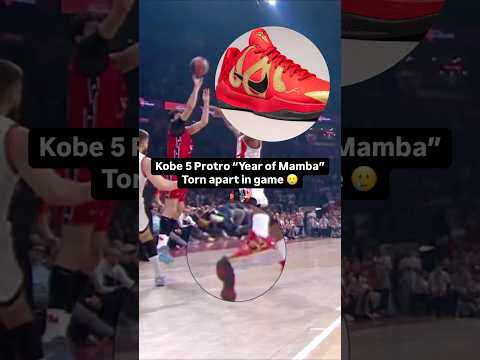 Kobe 5 Protro “Year of Mamba” torn apart in game #basketball #nike #kobe #adidas