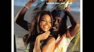 Janet Jackson   Beenie Man Feel It Boy Joint Custody Ext Mix