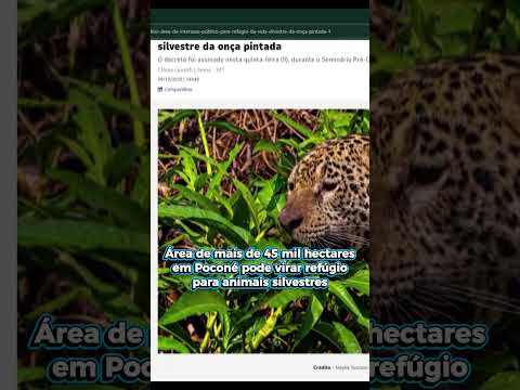 Poconé poderá ter área de refúgio para animais silvestres | #jornalismo #noticias #informação