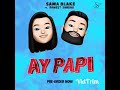 Sama Blake Ft Rameet Sandhu Aye Papi