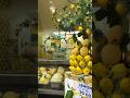 Italy Amalficoast Amalfi Lemon Shop Icecream италия амальфи лимон магазин �